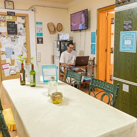 Vandrarhem Arena Nest