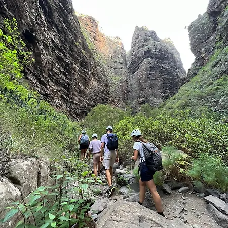 Arena Nest Vandrarhem Puerto de Santiago (Tenerife)