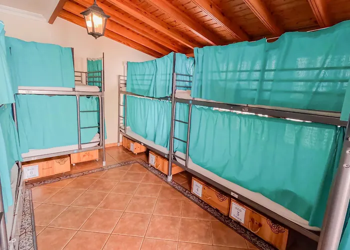 Arena Nest Hostel *